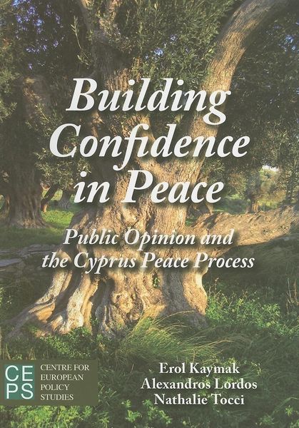 Produktbild: Building Confidence in Peace