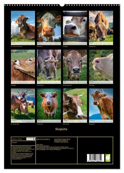 Produktbild: Bergk&uuml;he (Wandkalender 2026 DIN A2 hoch), CALVENDO Monatskalender