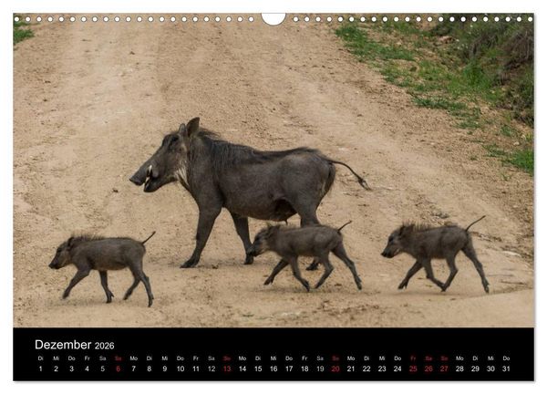 Produktbild: S&uuml;dafrika (Wandkalender 2026 DIN A3 quer), CALVENDO Monatskalender