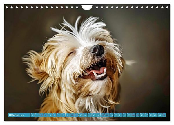 Produktbild: L&auml;chelnde Hunde sind wie Sonnenschein auf vier Pfoten (Wandkalender 2026 DIN A4 quer), CALVENDO Monatskalender