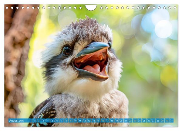 Produktbild: Der Kookaburra - Im australischen Busch mit dem lachenden Hans (Wandkalender 2026 DIN A4 quer), CALVENDO Monatskalender