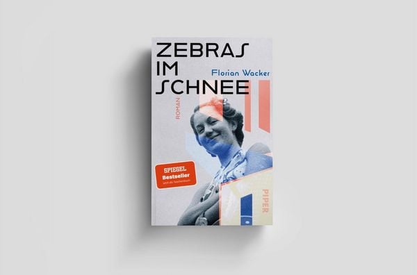 Produktbild: Zebras im Schnee