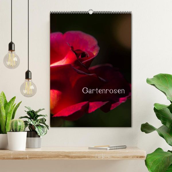 Produktbild: Gartenrosen (Wandkalender 2026 DIN A2 hoch), CALVENDO Monatskalender