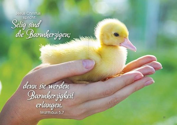 Produktbild: Alles Gl&uuml;ck des Himmels