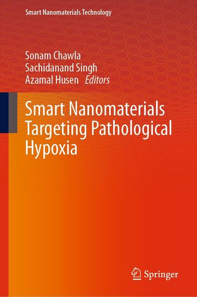 Produktbild: Smart Nanomaterials Targeting Pathological Hypoxia