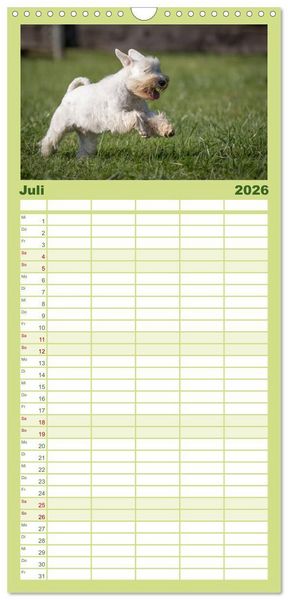 Produktbild: Familienplaner 2026 - Schnauzer... von Zwergen und Riesen 2026 mit 5 Spalten (Wandkalender, 21 x 45 cm) CALVENDO