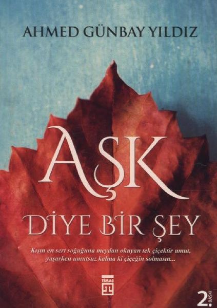 Produktbild: Ask Diye Bir Sey