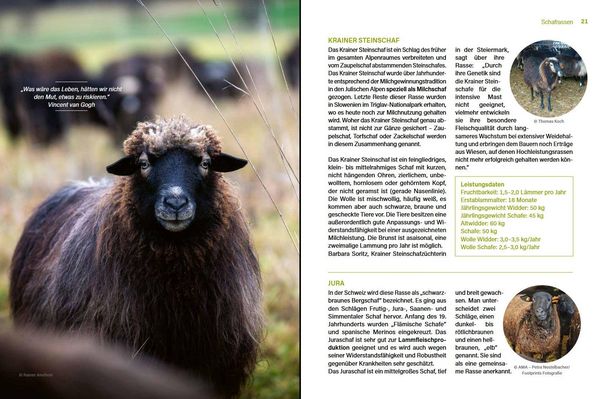 Produktbild: Alles vom Schaf!