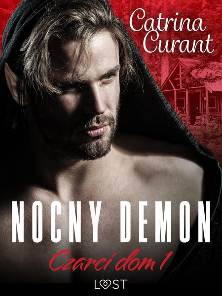 Produktbild: Czarci dom 1: Nocny demon - seria erotyczna