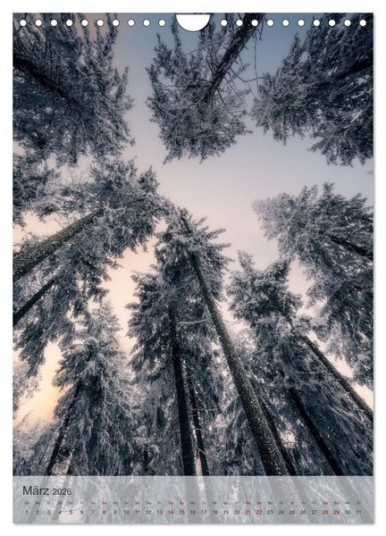 Produktbild: Winter Spaziergang (Wandkalender 2026 DIN A4 hoch), CALVENDO Monatskalender