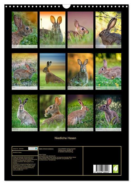 Produktbild: Niedliche Hasen (Wandkalender 2026 DIN A3 hoch), CALVENDO Monatskalender