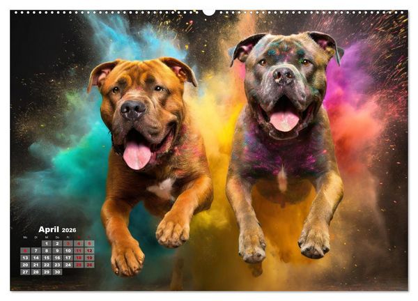 Produktbild: Holi Pulver - Doppelte Action (Wandkalender 2026 DIN A2 quer), CALVENDO Monatskalender