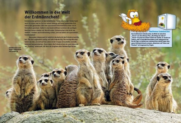 Produktbild: Entdecke die Erdm&auml;nnchen