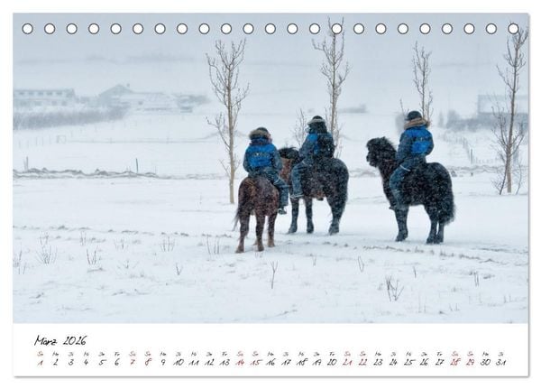 Produktbild: Islandpferde take it Isi (Tischkalender 2026 DIN A5 quer), CALVENDO Monatskalender