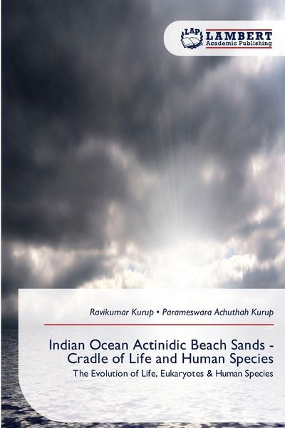 Produktbild: Indian Ocean Actinidic Beach Sands - Cradle of Life and Human Species