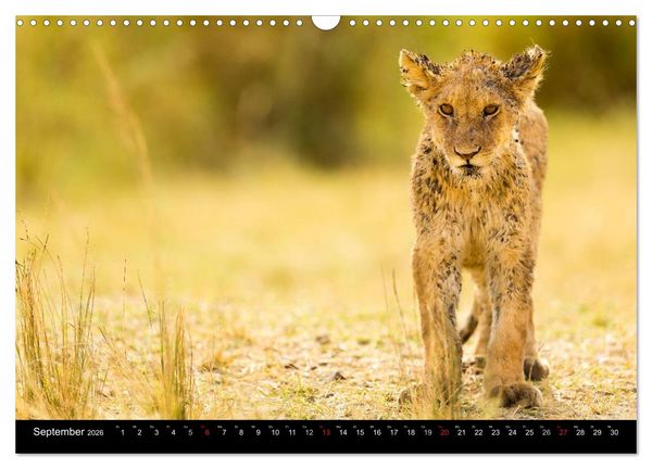 Produktbild: Ostafrika (Wandkalender 2026 DIN A3 quer), CALVENDO Monatskalender