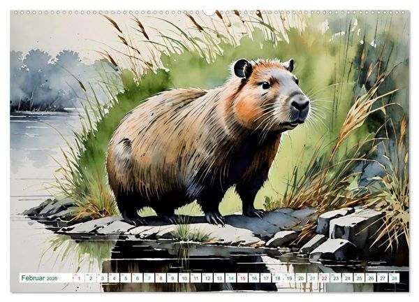 Produktbild: Das Capybara (Wandkalender 2026 DIN A2 quer), CALVENDO Monatskalender