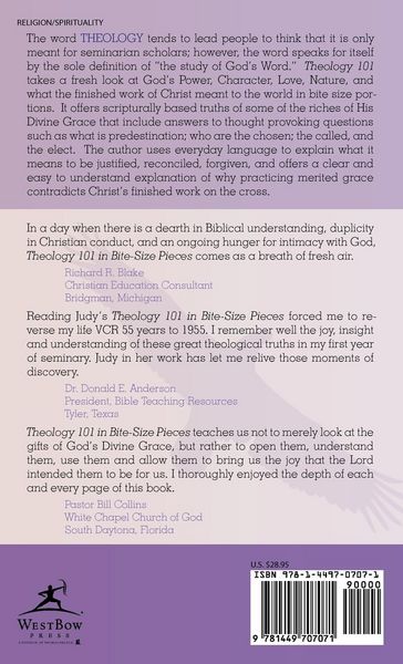 Produktbild: Theology 101 in Bite-Size Pieces