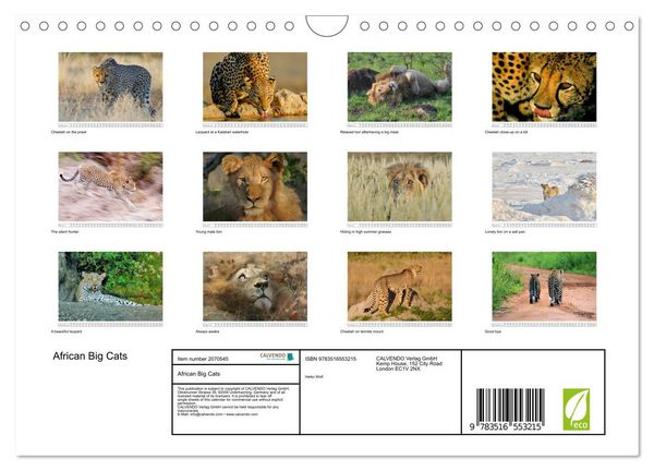 Produktbild: African Big Cats (Wall Calendar 2026 DIN A4 landscape), CALVENDO 12 Month Wall Calendar