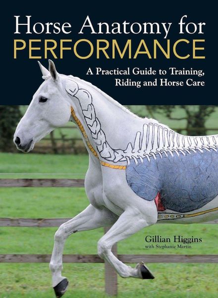 Produktbild: Horse Anatomy for Performance
