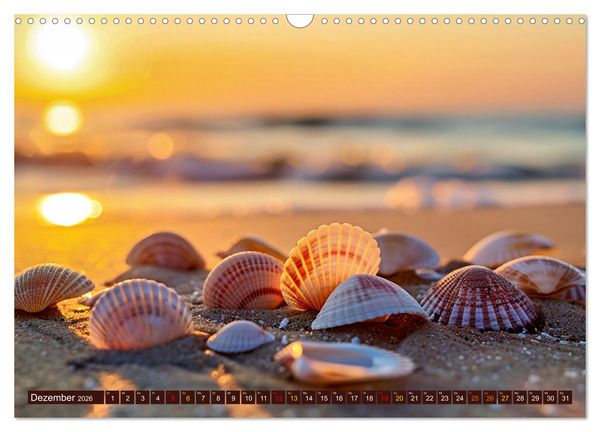 Produktbild: Faszination Muscheln (Wandkalender 2026 DIN A3 quer), CALVENDO Monatskalender