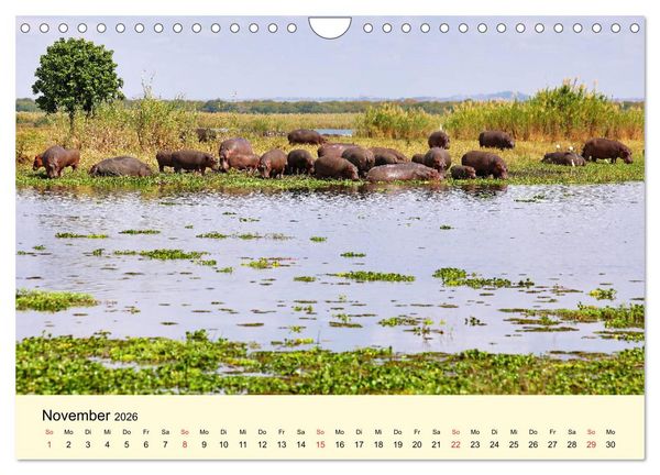 Produktbild: Traumhaftes Malawi (Wandkalender 2026 DIN A4 quer), CALVENDO Monatskalender