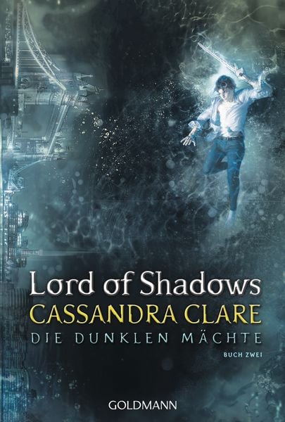 Cover of the book Lord of Shadows