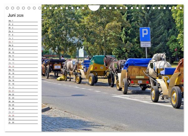 Produktbild: Treffpunkt Ostsee (Wandkalender 2026 DIN A4 quer), CALVENDO Monatskalender