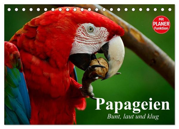 Produktbild: Papageien. Bunt, laut und klug (Tischkalender 2026 DIN A5 quer), CALVENDO Monatskalender