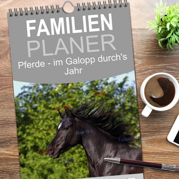 Produktbild: Familienplaner 2026 - Pferde - im Galopp durch's Jahr mit 5 Spalten (Wandkalender, 21 x 45 cm) CALVENDO