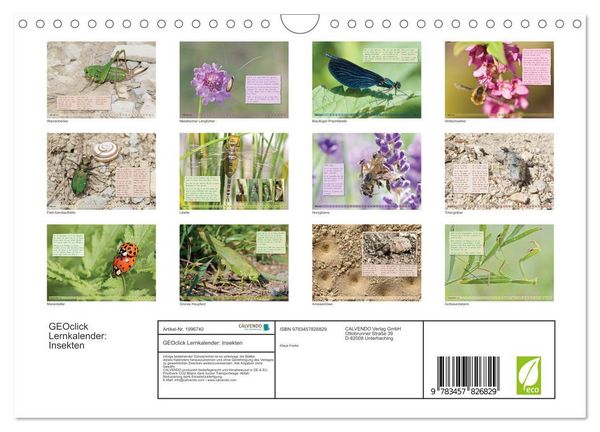 Produktbild: GEOclick Lernkalender: Insekten (Wandkalender 2026 DIN A4 quer), CALVENDO Monatskalender