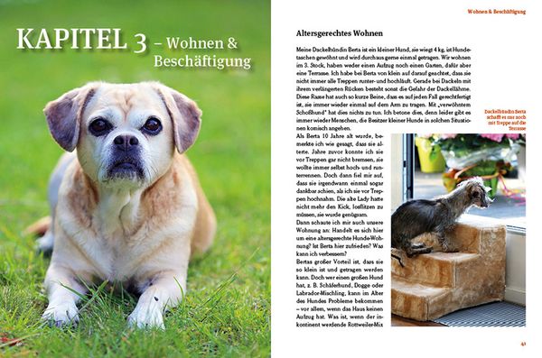Produktbild: Hunde-Rentner