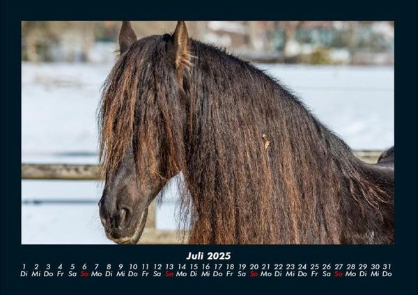 Produktbild: Die Welt der Pferde 2025 Fotokalender DIN A4