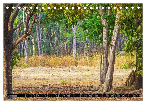 Produktbild: Indien - Im Reich des Tigers (Tischkalender 2026 DIN A5 quer), CALVENDO Monatskalender