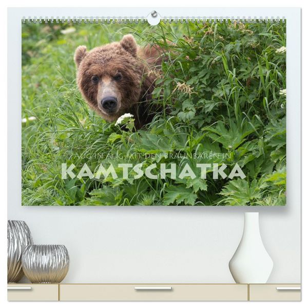 Aug in Aug mit den Braunbären in Kamtschatka (hochwertiger Premium Wandkalender 2026 DIN A2 quer), Kunstdruck in Hochglanz