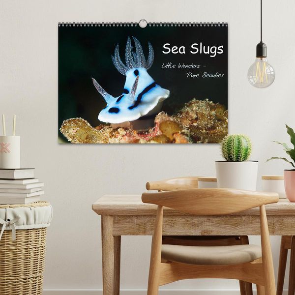 Produktbild: Sea Slugs - Little Wonders - Pure Beauties (Wall Calendar 2026 DIN A3 landscape), CALVENDO 12 Month Wall Calendar