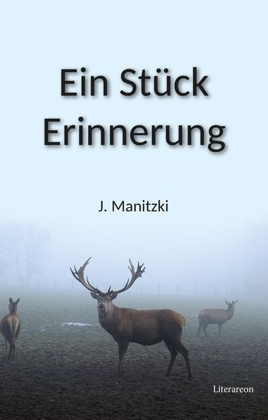 Produktbild: Ein St&uuml;ck Erinnerung