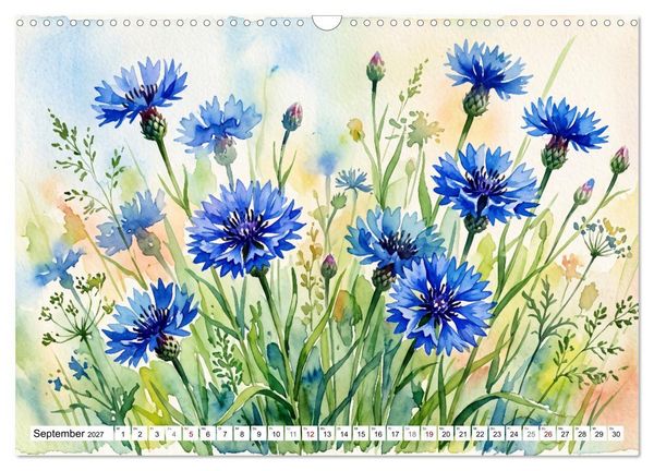 Produktbild: Bl&uuml;tenzauber des Sommers (Wandkalender 2027 DIN A3 quer), CALVENDO Monatskalender