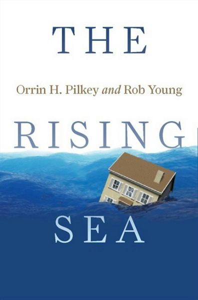Produktbild: The Rising Sea