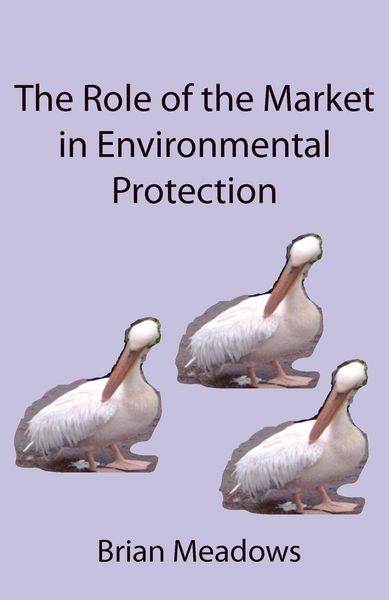 Produktbild: The Role of the Market in Environmental Protection