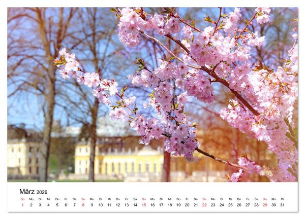 Produktbild: Kassel - Impressionen (Wandkalender 2026 DIN A3 quer), CALVENDO Monatskalender
