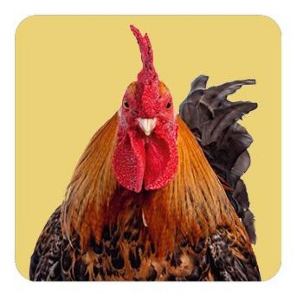 Produktbild: Memo-Spiel: Fluffy Butts &ndash; Finde den passenden Po zum Kopf!