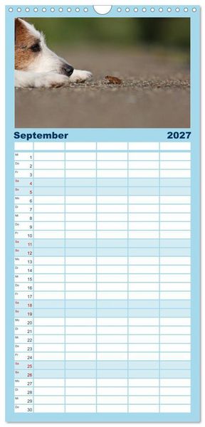 Produktbild: Familienplaner 2027 - Parson Russell Terrier mit 5 Spalten (Wandkalender, 21 x 45 cm) CALVENDO