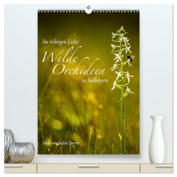 Im richtigen Licht: Wilde Orchideen in Südbayern (hochwertiger Premium Wandkalender 2026 DIN A2 hoch), Kunstdruck in Hochglanz