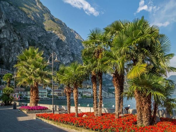 Produktbild: CALVENDO Puzzle GARDASEE Pr&auml;chtige Uferpromenade in Limone sul Garda | 1000 Teile Lege-Gr&ouml;&szlig;e 64x48cm Foto-Puzzle f&uuml;r gl&uuml;ckliche Stunden