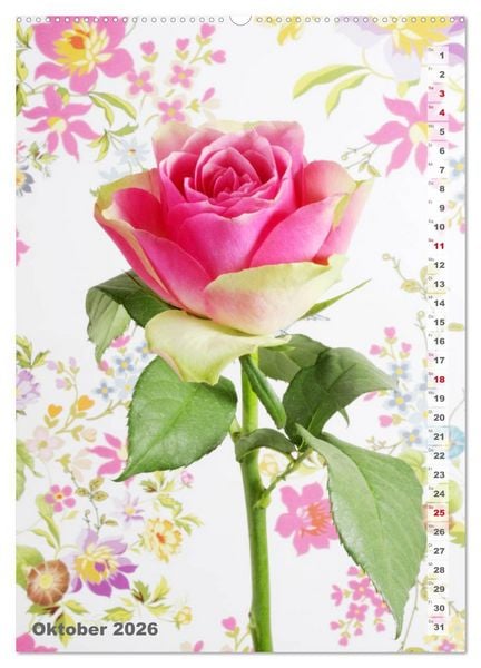 Produktbild: Sch&ouml;nste Rosen (Wandkalender 2026 DIN A2 hoch), CALVENDO Monatskalender