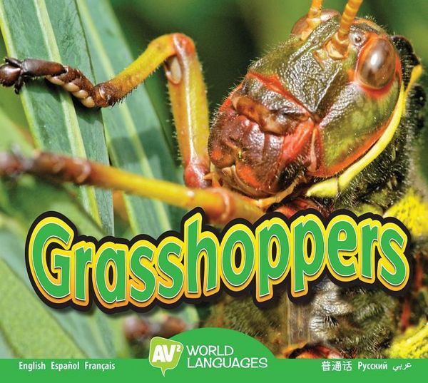 Produktbild: Grasshoppers