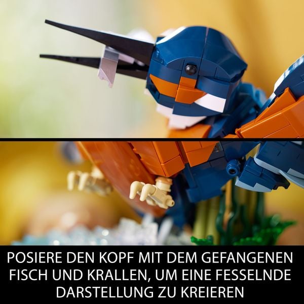 LEGO Icons 10331 Eisvogel, Vogel-Modell als Zimmer- oder Büro-Deko