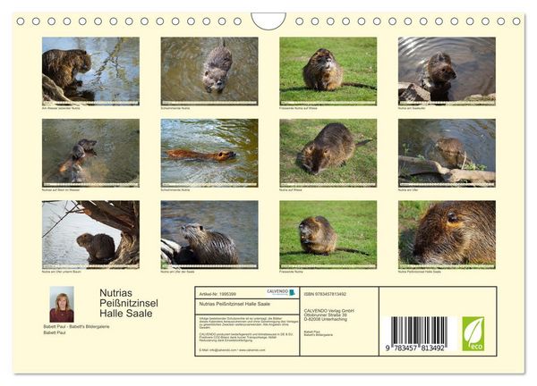 Produktbild: Nutrias Pei&szlig;nitzinsel Halle Saale (Wandkalender 2026 DIN A4 quer), CALVENDO Monatskalender