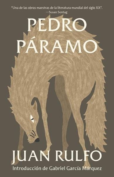 Produktbild: Pedro P&agrave;ramo (Spanish Edition)